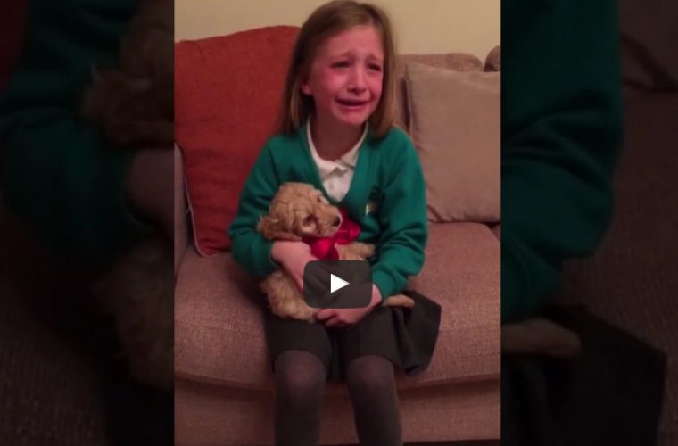 Αντικατέστησαν το λούτρινο σκυλάκι με ένα ζωντανό: Η αντίδραση του παιδιού θα σας εκπλήξει! (ΒΙΝΤΕΟ)