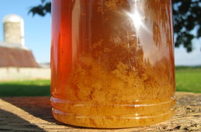 Τρομερό tip: Δείτε πως θα κάνετε «λείο» το μέλι που έχει «ζαχαρώσει» (ΒΙΝΤΕΟ)