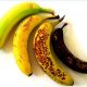 Ποια από αυτές τις μπανάνες είναι καλύτερο να φας; – Δεν ξέρεις και σίγουρα δεν το περιμένεις!