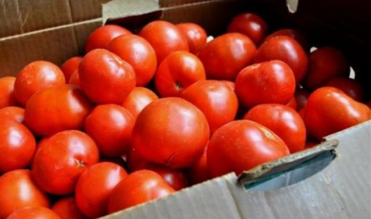 Προσοχή: Κατασχέθηκαν 6 τόνοι ντομάτας Αιγύπτου με υπολείμματα φυτοφαρμάκου