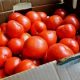 Προσοχή: Κατασχέθηκαν 6 τόνοι ντομάτας Αιγύπτου με υπολείμματα φυτοφαρμάκου