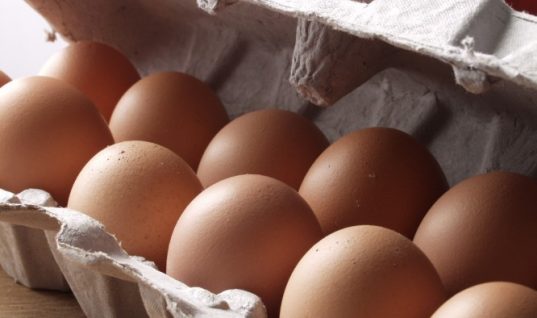 Ο ΕΦΕΤ προειδοποιεί: Μην αγοράσετε αυτά τα αυγά!