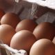 Ο ΕΦΕΤ προειδοποιεί: Μην αγοράσετε αυτά τα αυγά!