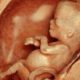 Φρικιαστικό: Βοσκός βρήκε δύο έμβρυα μέσα σε γυάλες δίπλα σε νεκροταφείο της Ημαθίας