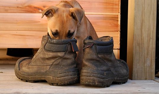 Παπούτσια που μυρίζουν άσχημα: Πέντε εύκολες και γρήγορες λύσεις