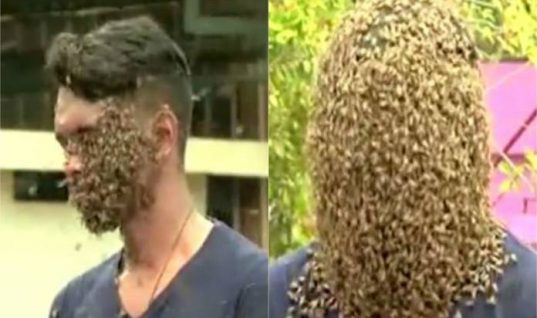 Νεαρός μαζεύει 60.000 μέλισσες στο κεφάλι του, γιατί τον κάνουν να νιώθει… άνετα! (vid)