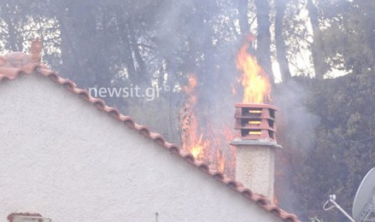 Μια νεκρή στη φωτιά στους Αγίους Θεοδώρους – Κάηκαν σπίτια (εικόνες)