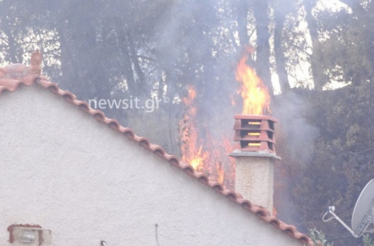 Μια νεκρή στη φωτιά στους Αγίους Θεοδώρους – Κάηκαν σπίτια (εικόνες)