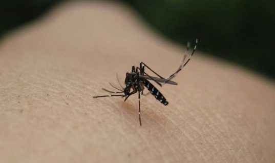 Δυο κρούσματα ελονοσίας – Υπό επιτήρηση περιοχές της χώρας