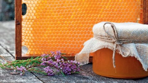Κολικός νεφρού: Τι ρόλο μπορεί να παίξει το μέλι ρείκι