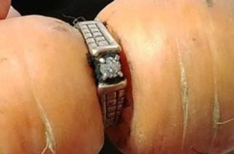 Εχασε το δαχτυλίδι των αρραβώνων της πριν 13 χρόνια -Το βρήκε σε καρότο! (εικόνες)