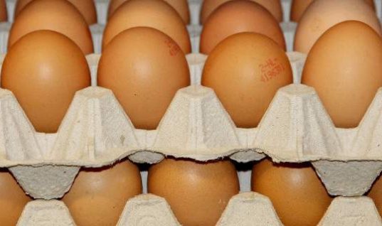Συναγερμός στην Ευρώπη για μολυσμένα αβγά- Φόβοι ότι εμπλέκονται 7 χώρες
