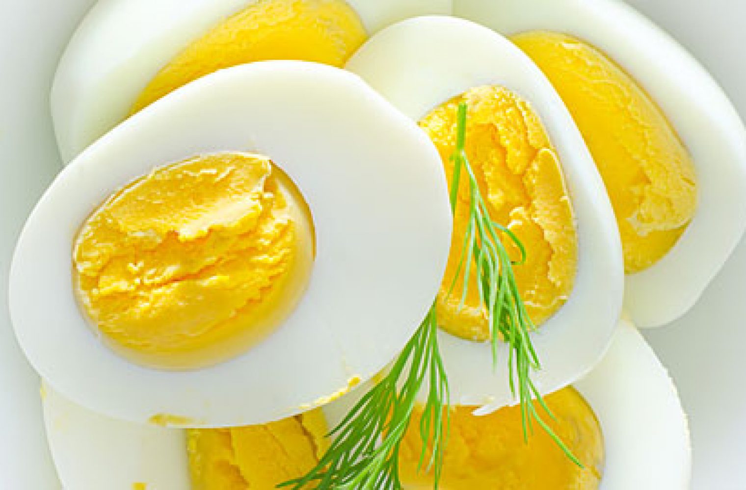 Δίαιτα αυγού – Ένας «διάσημος» τρόπος για να χάσετε γρήγορα πολλά κιλά