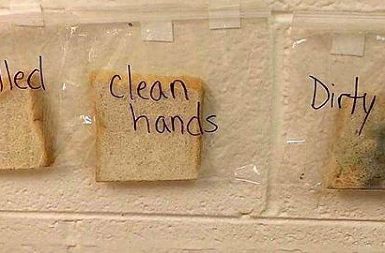 Το πείραμα αυτής της δασκάλας θα πείσει κάθε παιδί να πλένει τα χέρια του πριν το φαγητό!