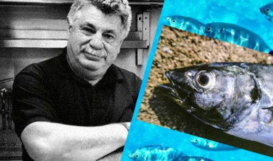 Ποια ψάρια να μην τρώμε μετά ρύπανση στον Σαρωνικό, συμβουλεύει ο Λ. Λαζάρου