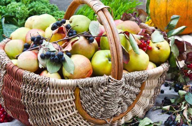 5 φθινοπωρινές τροφές που βοηθούν το μεταβολισμό και ενισχύουν την απώλεια βάρους