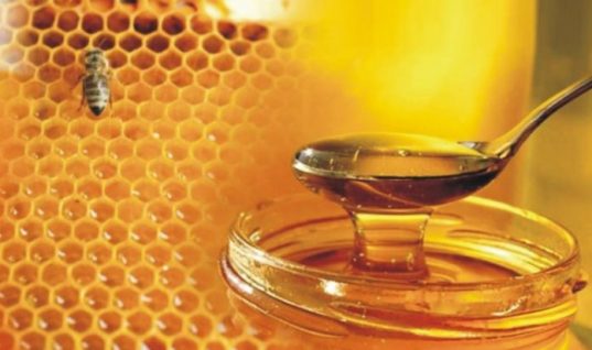 Το Α.Π.Θ. εξέτασε 48 διαφορετικά ελληνικά μέλια. Δείτε ποιο μέλι είναι το καλύτερο για την υγεία