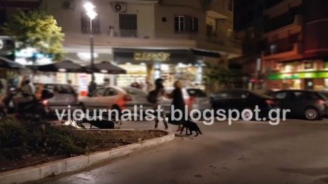 Θεσσαλονίκη: Άγριο ξύλο μεταξύ γυναικών στη μέση του δρόμου