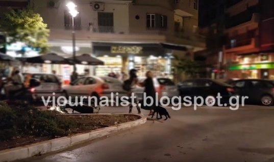 Θεσσαλονίκη: Άγριο ξύλο μεταξύ γυναικών στη μέση του δρόμου