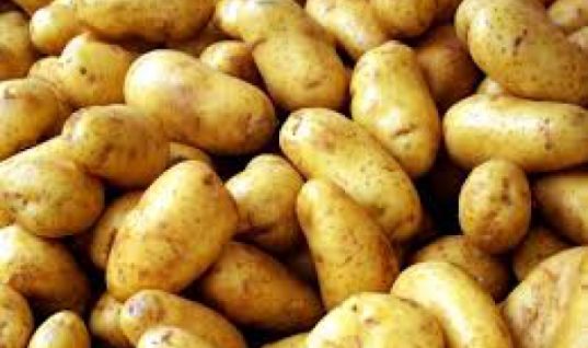 Πώς να διατηρείτε τις πατάτες σας για περισσότερο καιρό