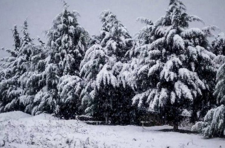 Καιρός: Έκτακτο δελτίο – Έρχεται «σφυροκόπημα» από χιόνια και καταιγίδες