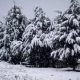 Καιρός: Έκτακτο δελτίο – Έρχεται «σφυροκόπημα» από χιόνια και καταιγίδες