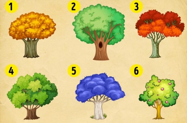 Τεστ: Διαλέξτε ένα δέντρο και ανακαλύψτε τι σας περιμένει το 2018!