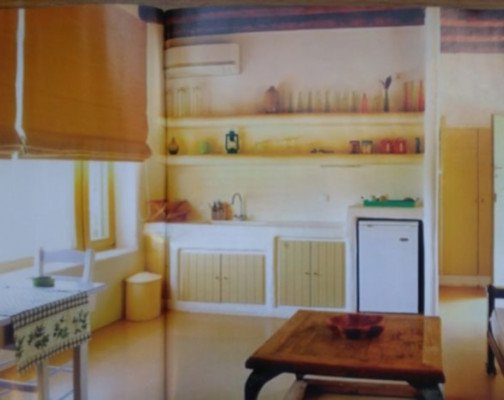 Αυτό είναι το υπέροχο σπίτι της Ελένης Μενεγάκη στα Άχλα! (εικόνες)