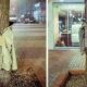 Λάρισα: Ντύνουν τα δέντρα με μπουφάν για τους αστέγους