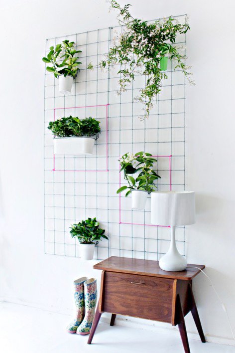 Πρωτότυποι τρόποι για να βάλετε φυτά στο σπίτι σας