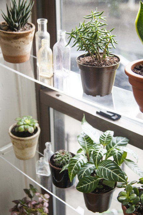 Πρωτότυποι τρόποι για να βάλετε φυτά στο σπίτι σας