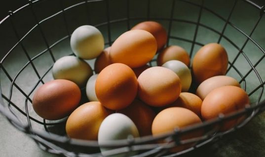 Ποια είναι η διαφορά μεταξύ άσπρων και καφέ αυγών