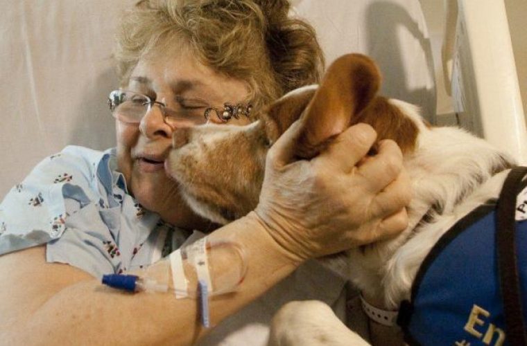 Μια καλή αρχή! Το Στρατιωτικό Νοσοκομείο 424 ανοίγει τις πόρτες του στους σκύλους θεραπείας