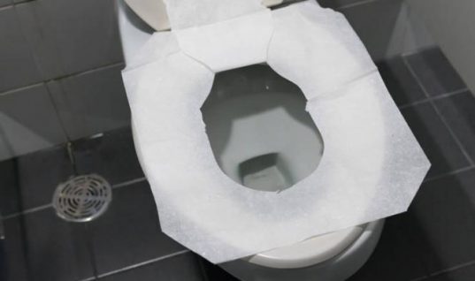 Βάζετε χαρτί υγείας στη λεκάνη σε δημόσιες τουαλέτες;  – Μετά απ’ αυτό το βίντεο δε θα ξαναβάλετε!
