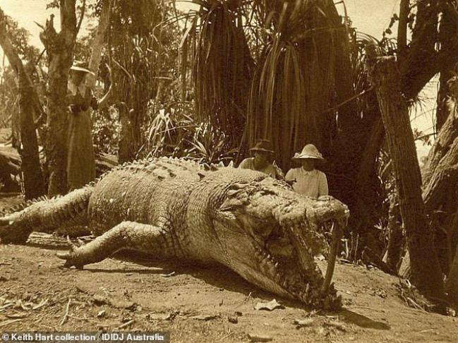 H απίστευτη ιστορία της μικρόσωμης Πολωνέζας μετανάστριας που σκότωσε τον μεγαλύτερο κροκόδειλο στην Αυστραλία (εικόνες)
