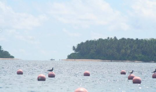 Το νησί της αχρωματοψίας: Εκεί που η ζούγκλα είναι ροζ και ο ωκεανός γκρι (εικόνες)