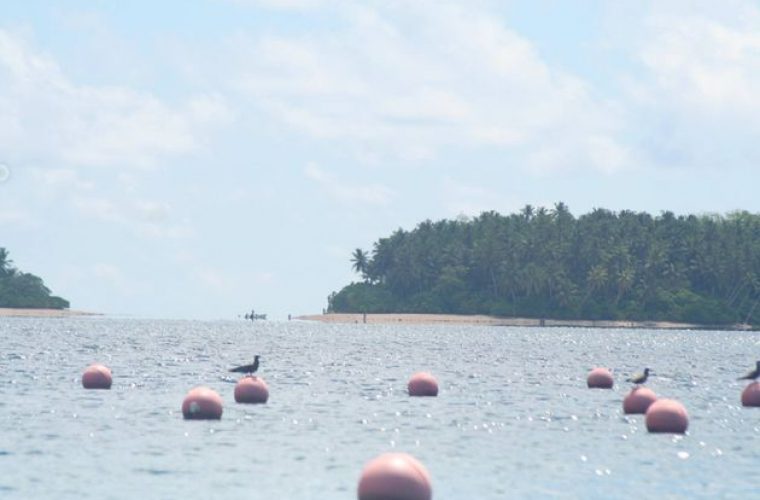 Το νησί της αχρωματοψίας: Εκεί που η ζούγκλα είναι ροζ και ο ωκεανός γκρι (εικόνες)