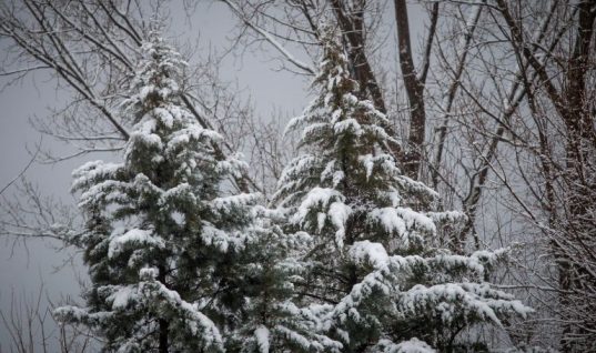 Μερομήνια: Δείτε τι καιρό θα κάνει τα Χριστούγεννα και την πρωτοχρονιά – Που θα χιονίσει