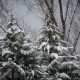 Μερομήνια: Δείτε τι καιρό θα κάνει τα Χριστούγεννα και την πρωτοχρονιά – Που θα χιονίσει
