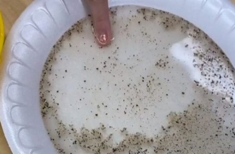 Κορωνοϊός: Δείτε πώς το σαπούνι καταπολεμά τα «μικρόβια» (vid)
