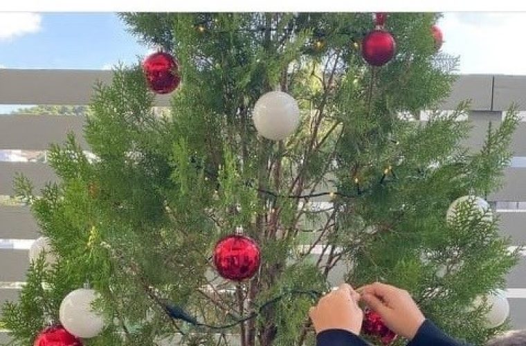 Όμορφη φωτογραφία: O Γιώργος Λιάγκας στολίζει με τους γιους του το χριστουγεννιάτικο δέντρο!