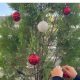 Όμορφη φωτογραφία: O Γιώργος Λιάγκας στολίζει με τους γιους του το χριστουγεννιάτικο δέντρο!