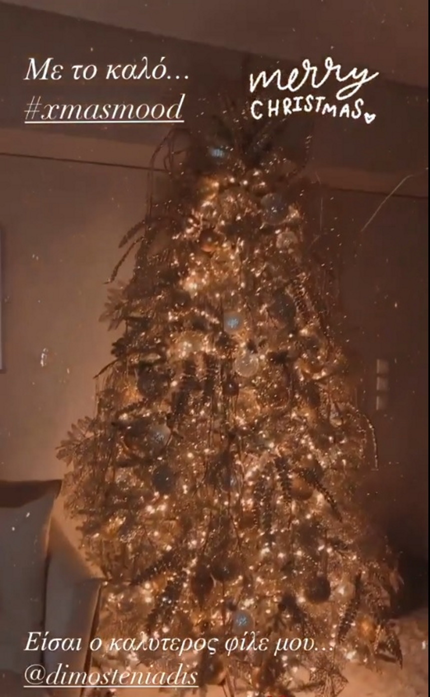 Κατερίνα Καινούργιου: Μας δείχνει το χριστουγεννιάτικο δέντρο της! (εικόνες)