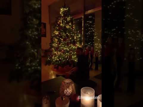Δέσποινα Βανδή: Στόλισε ένα από τα πιο ωραία χριστουγεννιάτικα δέντρα! (εικόνες)