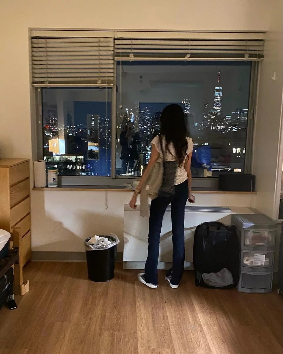 Στεφανίδου- Ευαγγελάτος: Η υπέροχη θέα από τo διαμέρισμα της κόρης τους στη Νέα Υόρκη! (εικόνες)