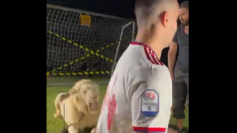 Πρέπει να το δεις: Λιοντάρι βρυχήθηκε στην παρουσίαση Έλληνα ποδοσφαιριστή και … του έκοψε το αίμα!