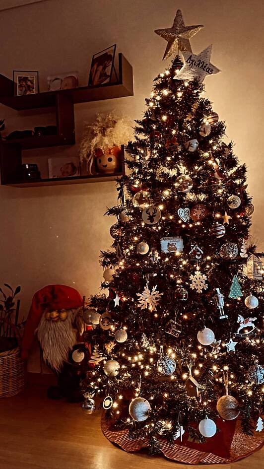 Άκης Πετρετζίκης: Το στολισμένο χριστουγεννιάτικο δέντρο και η κατά λάθος φωτογραφία της κόρης του! (εικόνες)