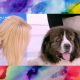 Ξεκαρδιστικό βίντεο με Φαίη Σκορδά: Σκύλος αρνείται επιδεικτικά να την κοιτάξει