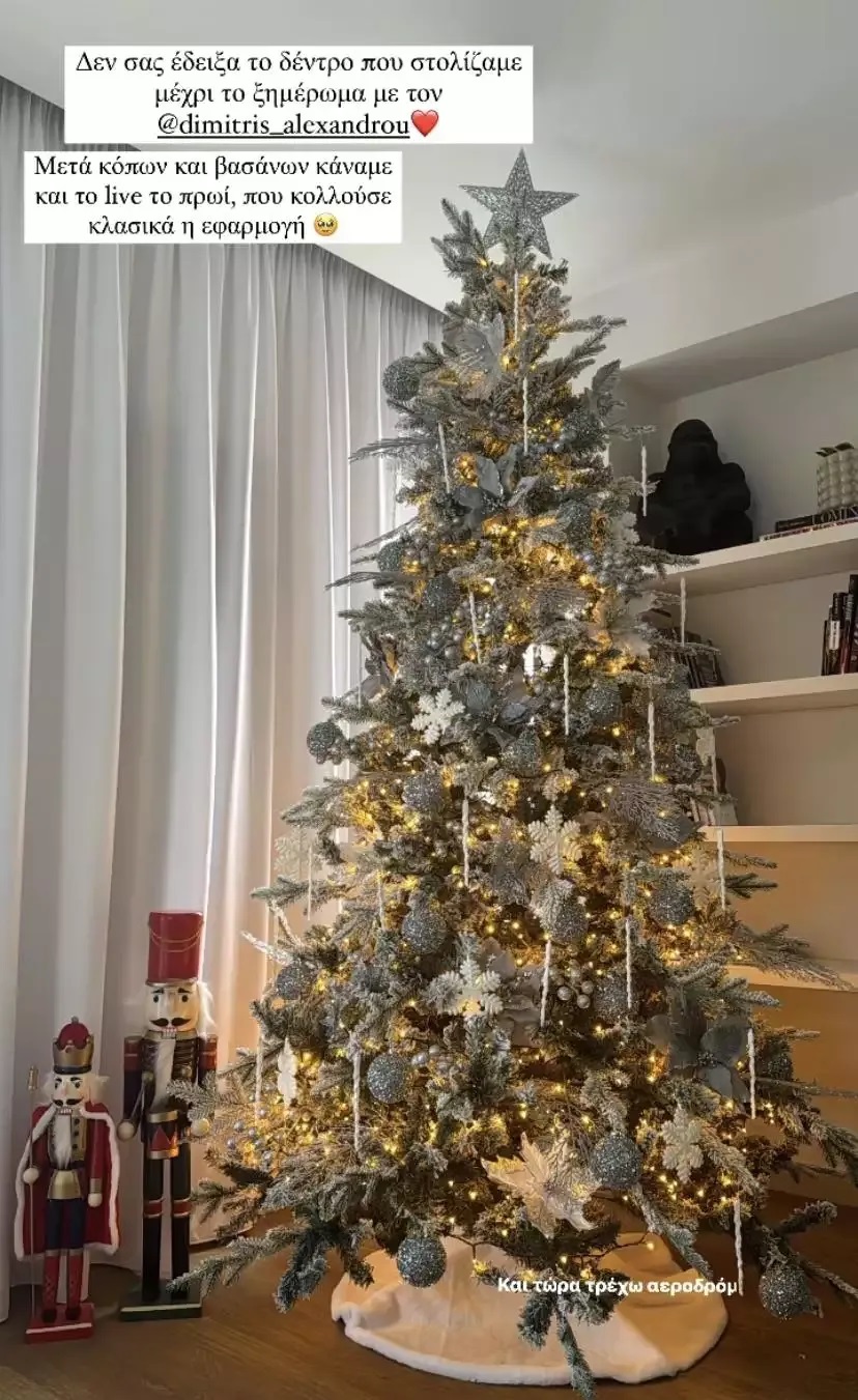 Ιωάννα Τούνη – Δημήτρης Αλεξάνδρου: Το εντυπωσιακό χριστουγεννιάτικο δέντρο που στόλισαν (εικόνες)