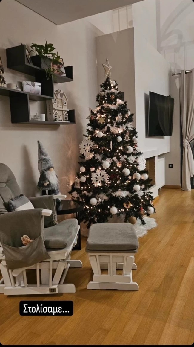 «Στολίσαμε»: Η φωτογραφία από το σαλόνι του Άκη Πετρετζίκη και το υπέροχο χριστουγεννιάτικο δέντρο! (εικόνα)